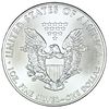 2013 American Silver Eagle ASEImage - 1