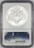 2010 MS 69 NGC Silver Eagle ASE EARLY RELEASEImage - 1