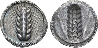 Древняя Греция. Лукания. Метапонт. Статер 470-440 гг. до н.э. Серебро. 7,85г. Метапонт. Аверс: 