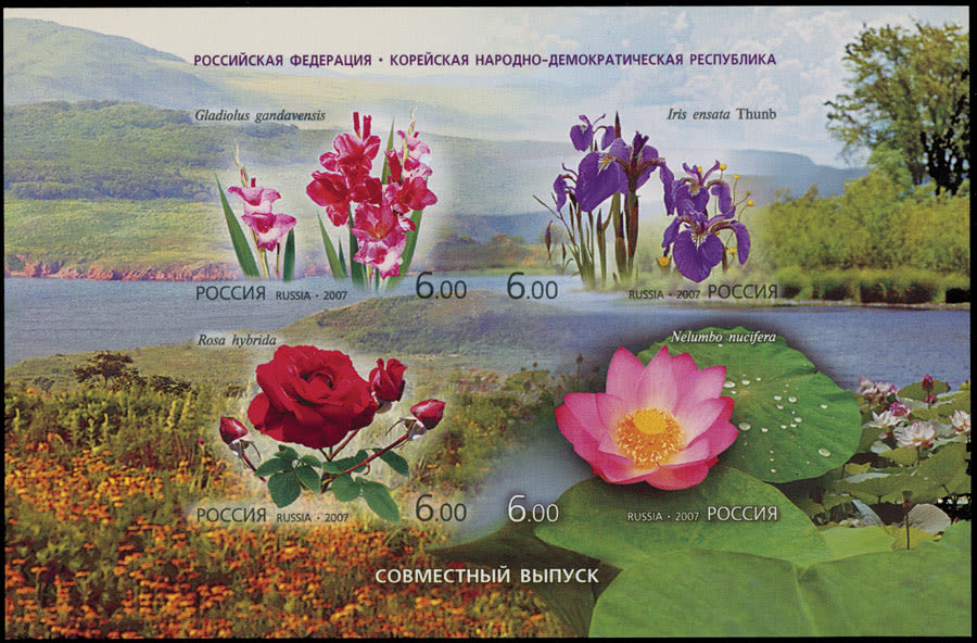 Lot 1057: Modern Issues of the Russian Federation