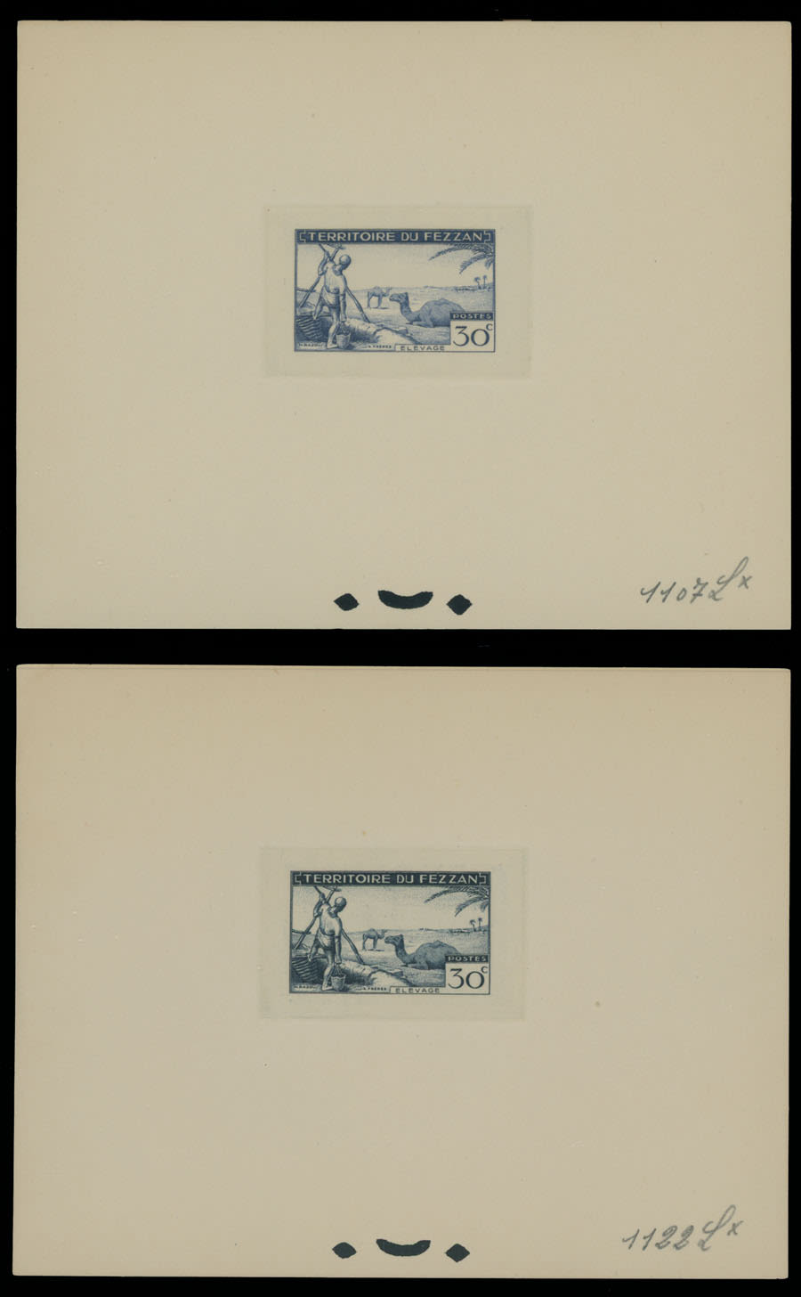 Lot 1017: Fezzan (Libya)