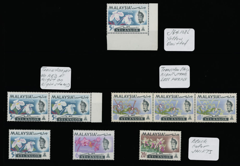 Lot 1539: British Commonwealth  - Malaysia and Malayan States - Selangor