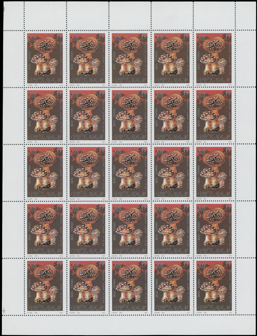 Lot 2180: Vietnam