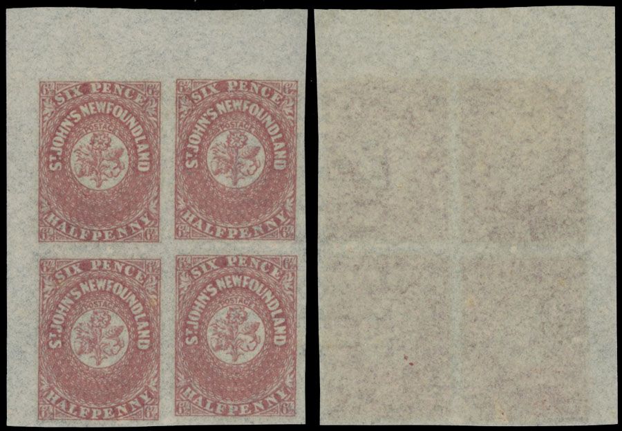 Lot 326: British North America - Newfoundland - Pence issues - Heraldic Flowers