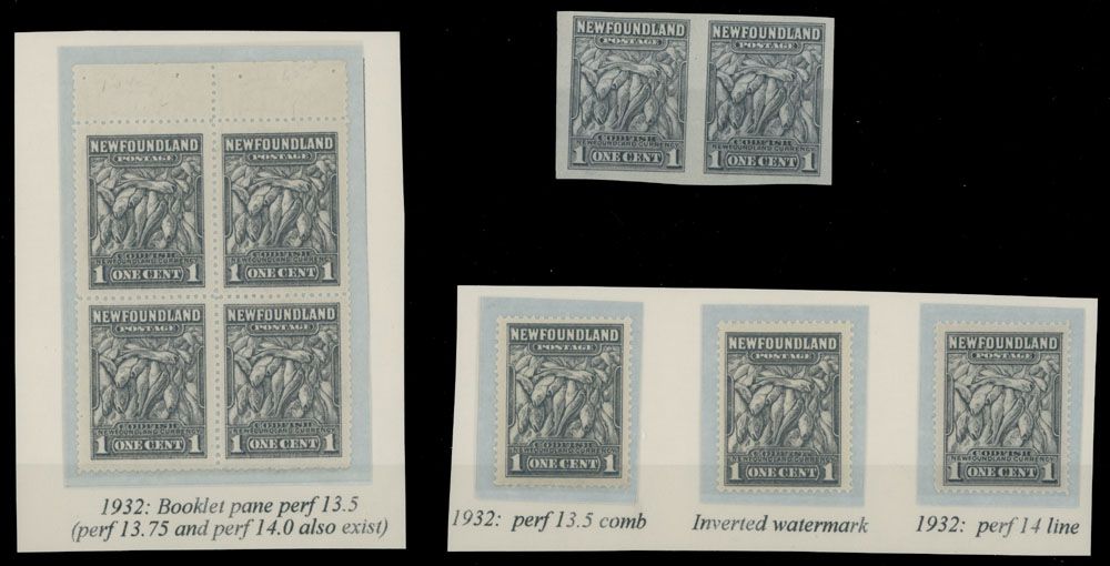 Lot 293: British North America - Newfoundland - First Resources issue