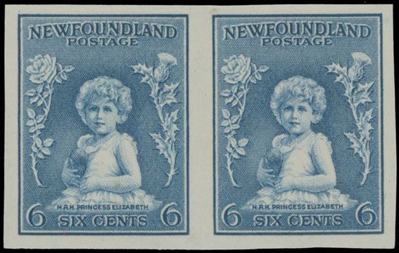 Lot 299: British North America - Newfoundland - First Resources issue