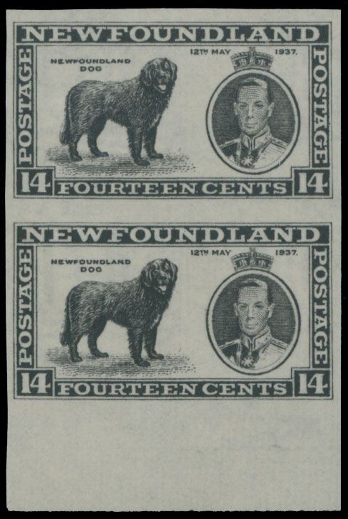Lot 316: British North America - Newfoundland - Long Coronation issue