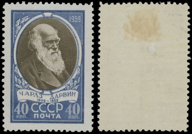 Lot 986: Soviet Union
