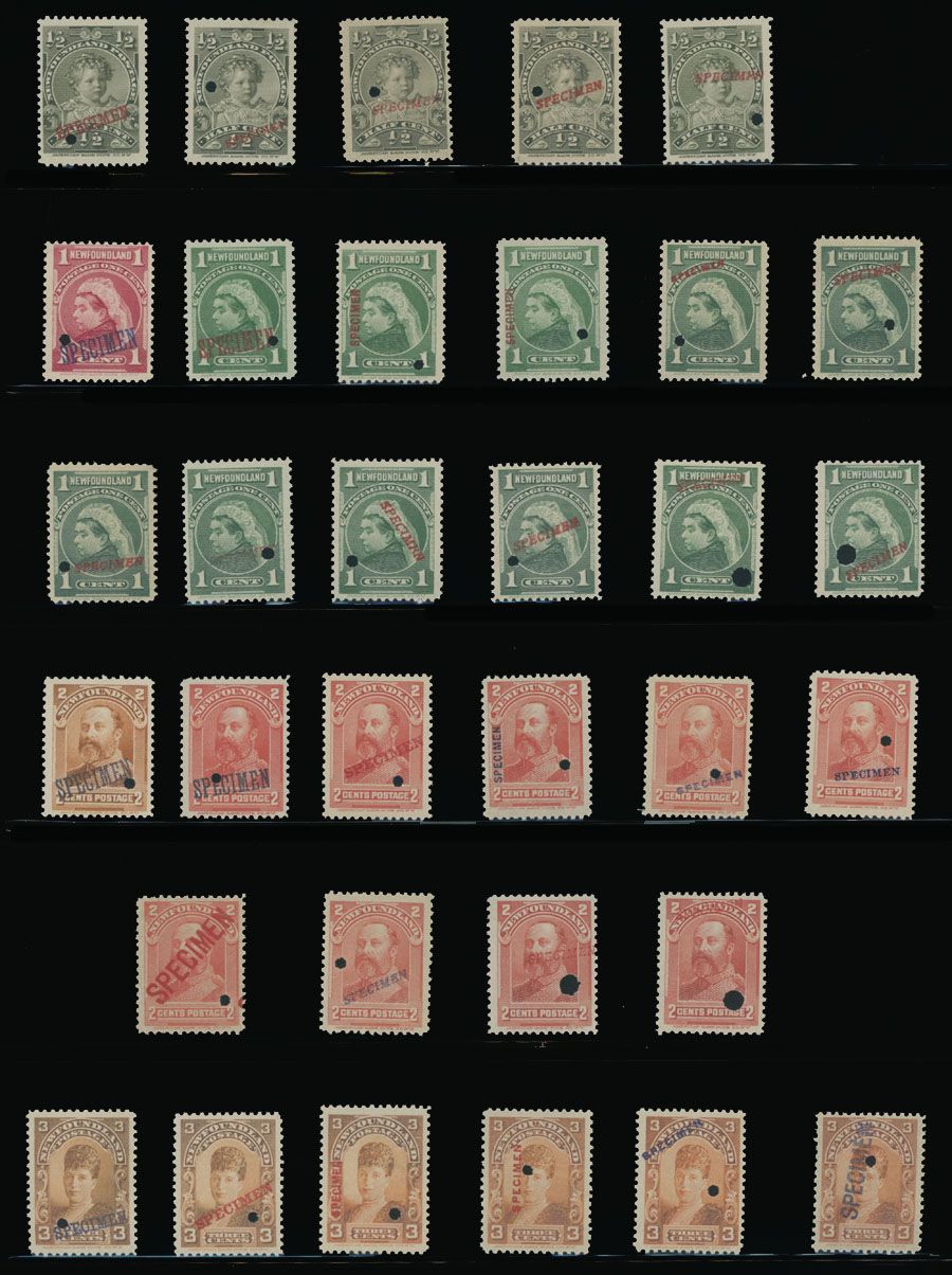 Lot 296: BNA - Newfoundland - Royal Family issue