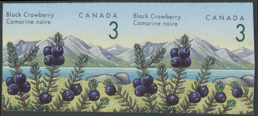 Lot 438: Canada - Queen Elizabeth II Modern Errors and Varieties