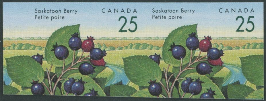 Lot 439: Canada - Queen Elizabeth II Modern Errors and Varieties