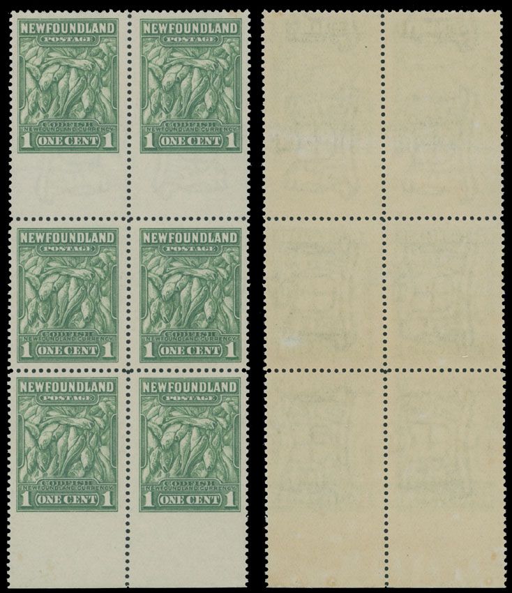 Lot 248: British North America - Newfoundland - First Resources issue