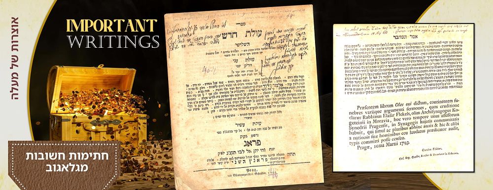 חתימות ורישומים מהעיר ראזוואדאוו וגלאגוב וחתימת רבי יוסף חיים ביגעלאייזן. נדיר - מהדורה ראשונה 