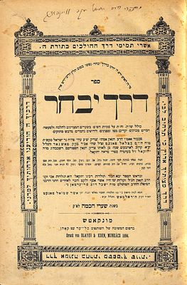 ספר דרך יבחר, שו"ת וחידושים על סוגיות הש"ס ודרושים, מאת הרה"ק רבי חיים בצלאל פאנעט אב"ד טאשנאד 