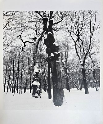 [1993] Борис Смелов. Идол в Михайловском саду, оригинал 1993 года, 30,4х23,8 см, фотография 