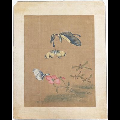 An Old Chinese Butterfly Painting On Silk, Stamped On Back. Measures approx. 13" X 10 1/4". 