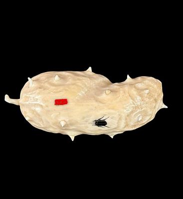 Antique Carved Fruit With Inlaid Shibayama Insects And Semi Precious Materials, Meiji Pd. Signed.