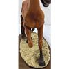 Giuseppe Armani Figurine: "Trotter Horse" 308C In Original Box. Box measures approx. 13 1/2" X Image - 6