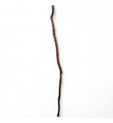 Ceremonial Plains Indian Tribal Walking Stick Depicting Shamanistic Rituals And Zoomorphic 