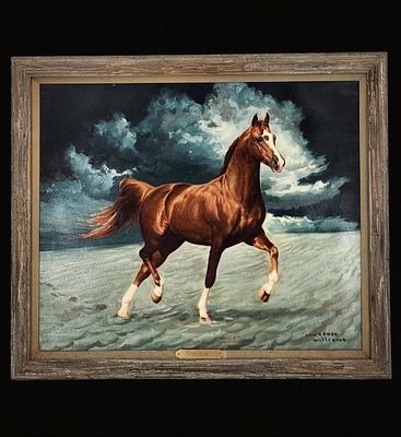 Lawrence Williams 1913-2003 Oil On Canvas Arabian Stallion Horse "Muscat". Frame Measures 23.5" 