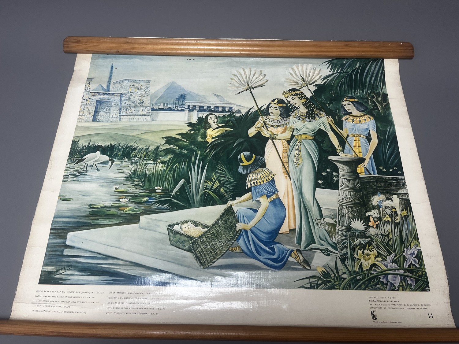 Lot 219