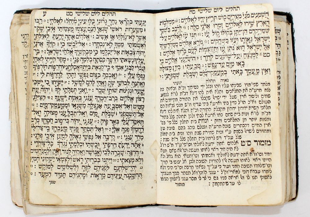 התהלים הראשון שנדפס בירושלים עיה"ק - פירוש נאוה תהלה – ירושלים, תר"ה – עותק חסר
. ספר תהלים עם