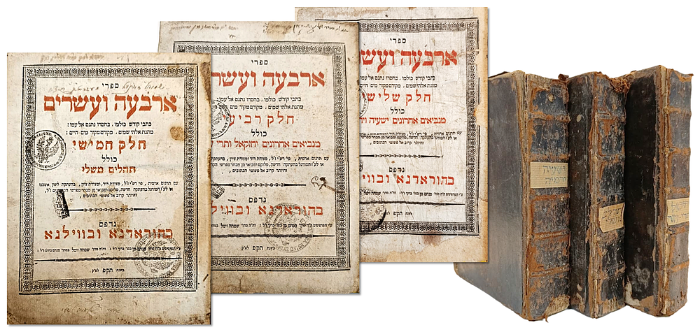 נביאים וכתובים (ביאור הגר"א-מהדורה ראשונה) - הוראדנא ובווילנא, תק"ף – שלושה חלקים
. ארבעה 