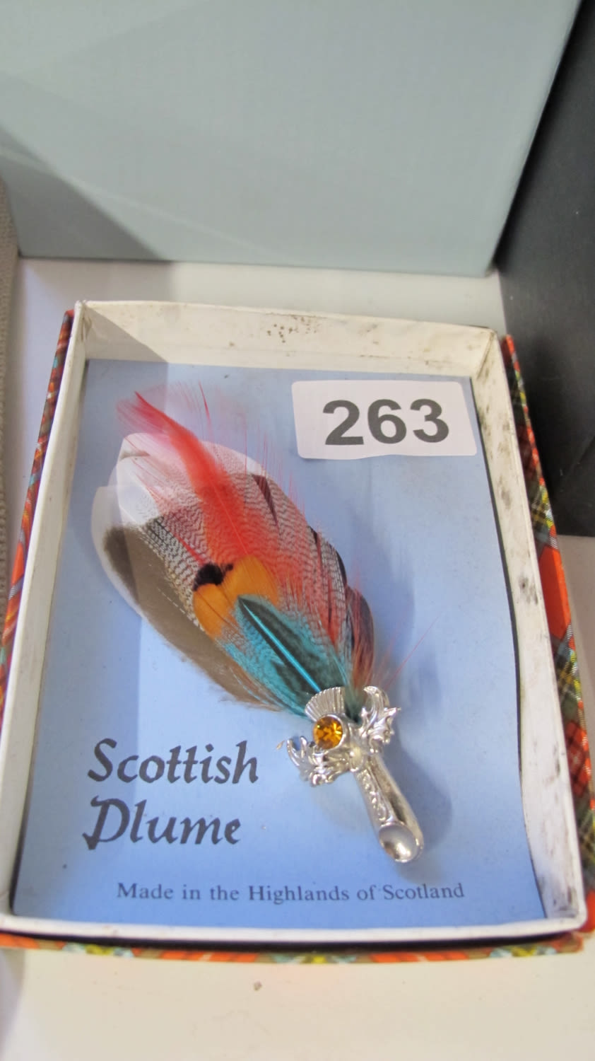 Lot 263: Scottish plume brooch