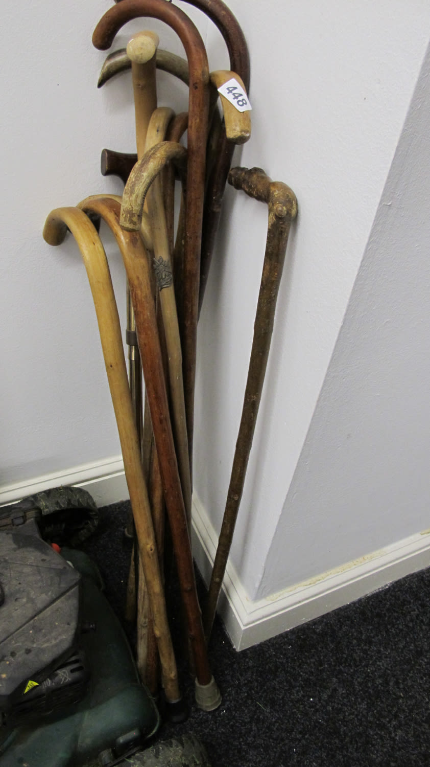 Lot 448: serial killers collection of walking sticks