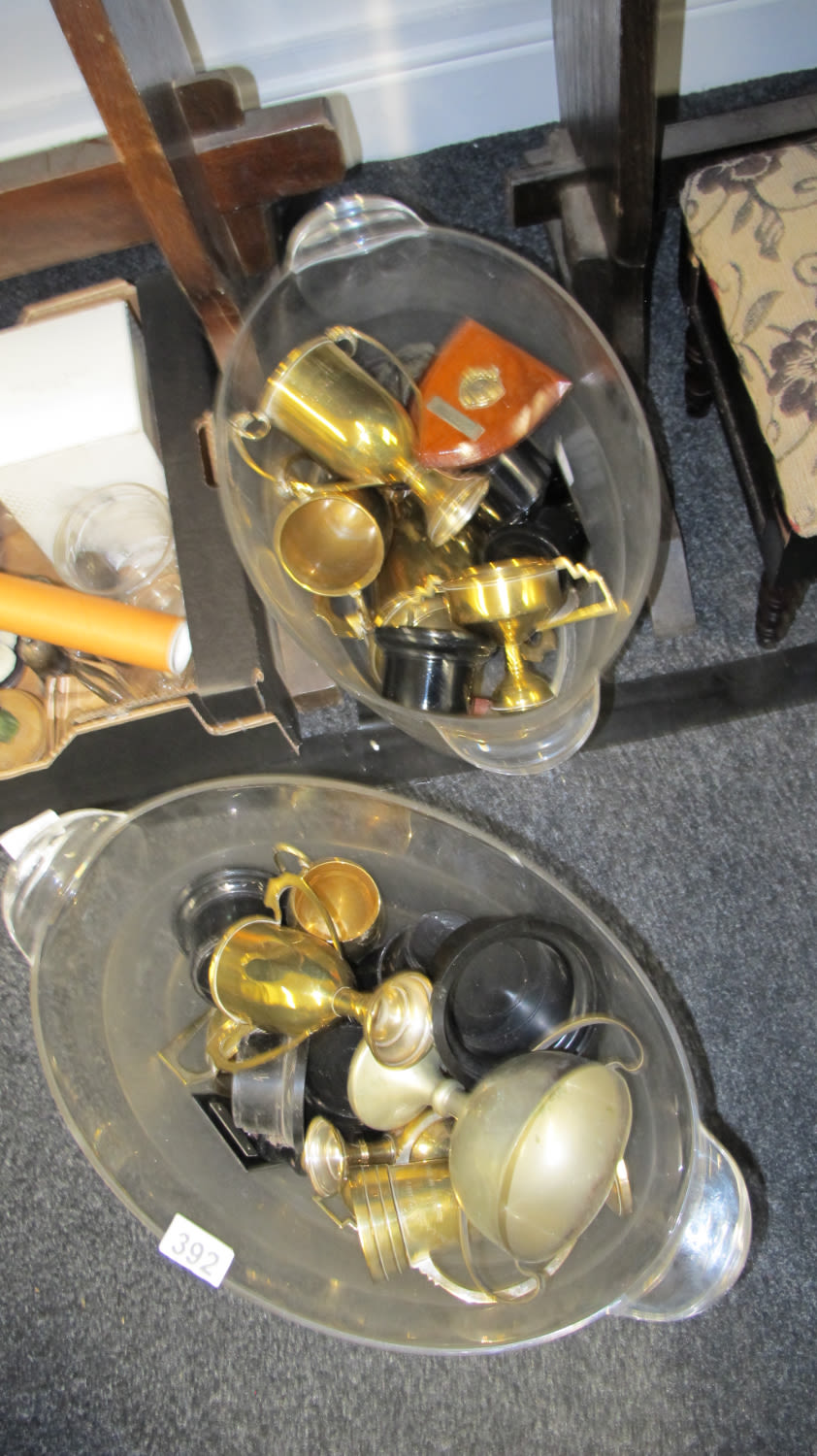 Lot 392: A quantity of trophies in large ice buckets