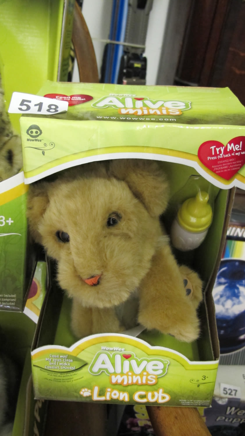 Lot 518: Alive minis lion cub