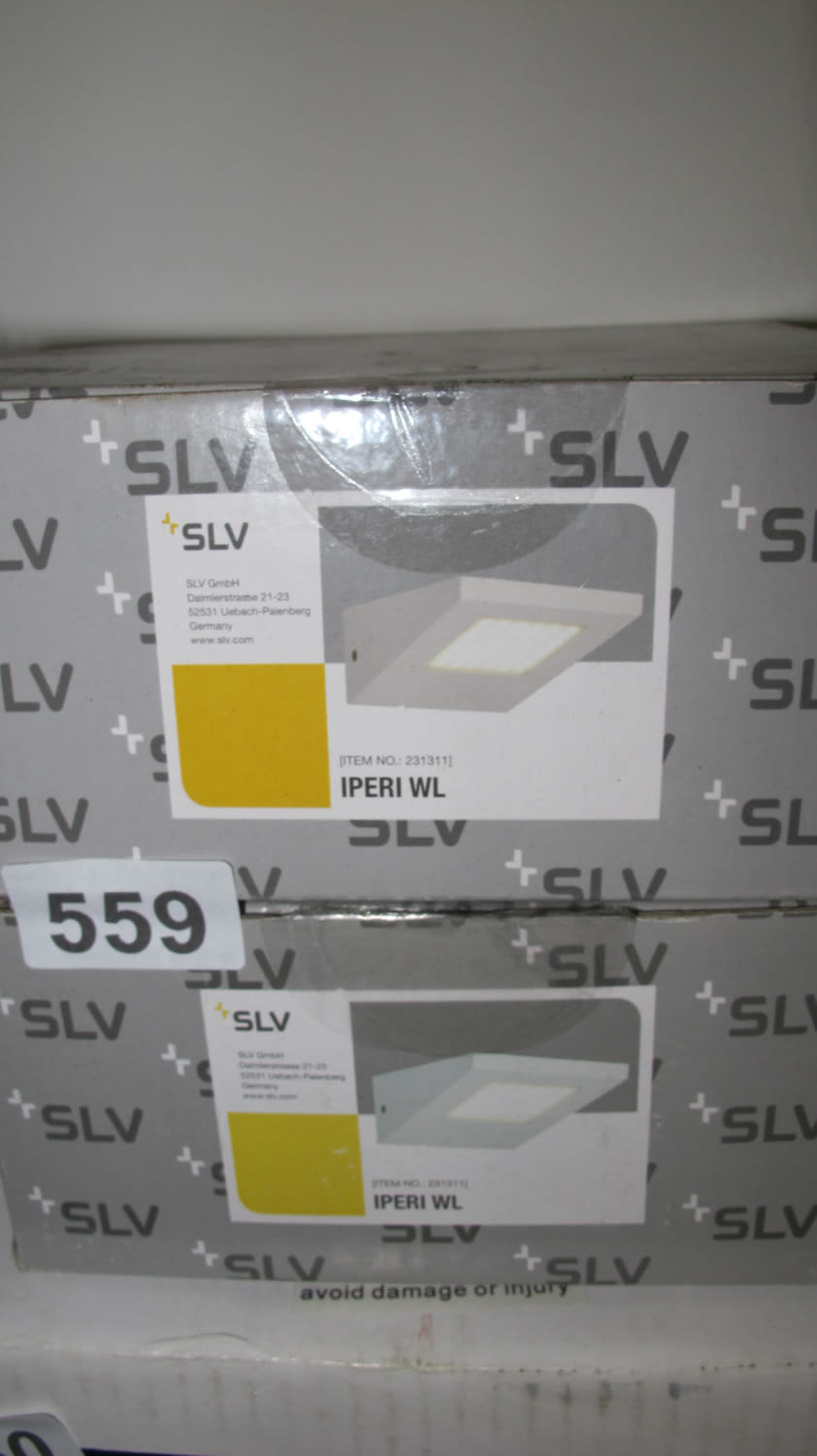 Lot 559: SLV Iperi WL light