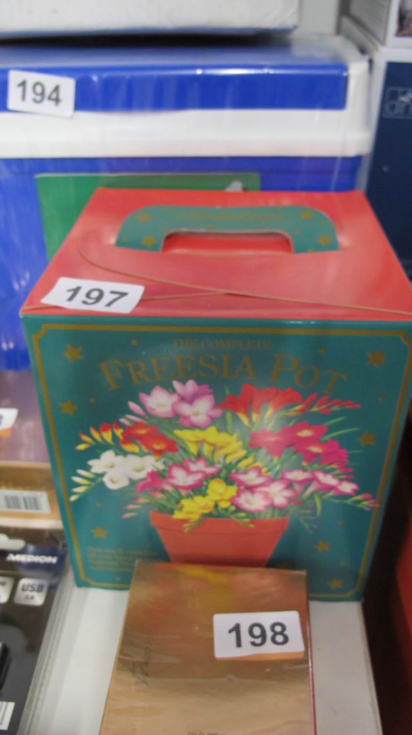 Lot 197: New the complete freesia pot