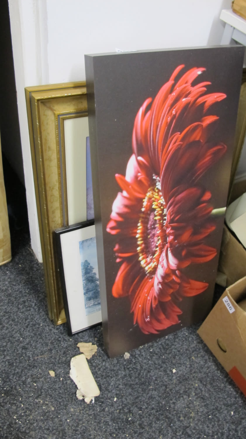 Lot 259: Quantity of pictures