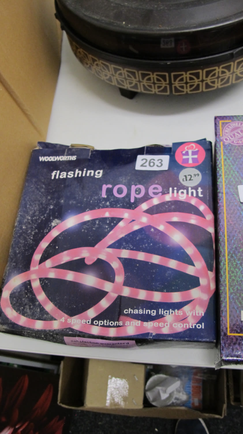 Lot 263: Flashing rope light