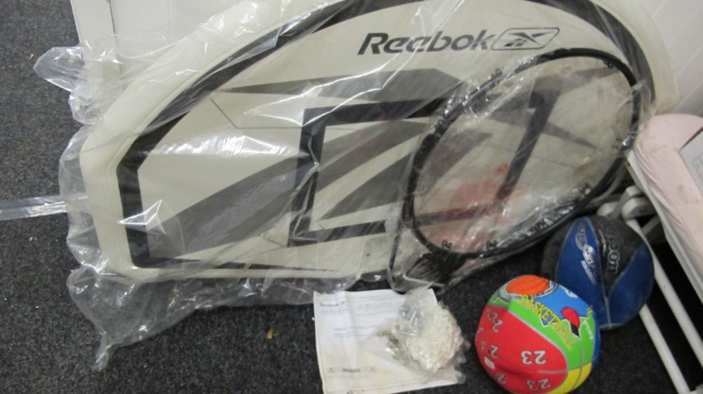 Lot 760: Reebok full size basketball hoop and 2 balls