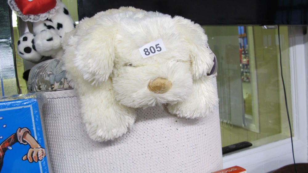 Lot 805: White doggo needing a loving home