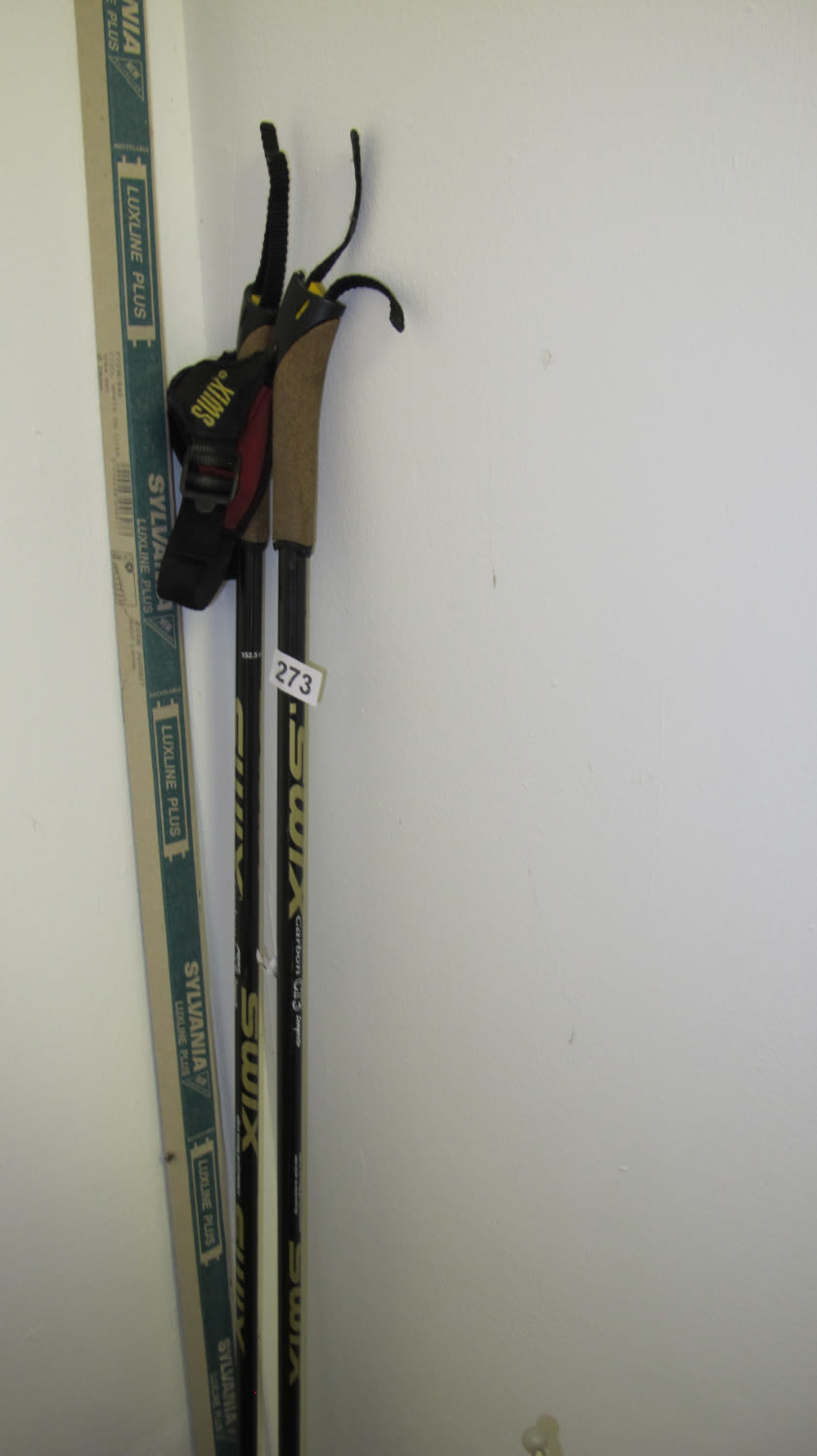 Lot 273: Walking poles