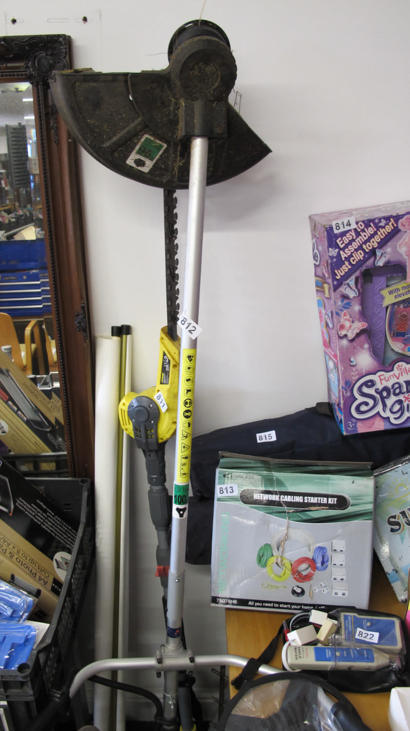 Lot 812: heavy duty strimmer