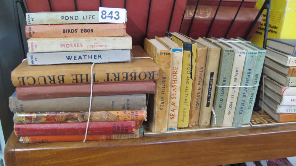Lot 843: A quantity of books