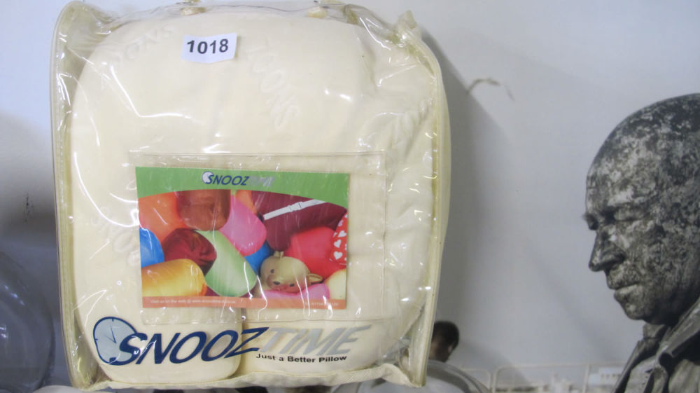 Lot 1018: snooze travel pillow