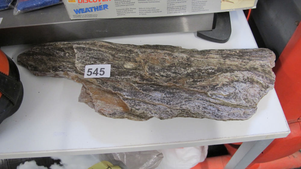 Lot 545: Fossilised tree bark