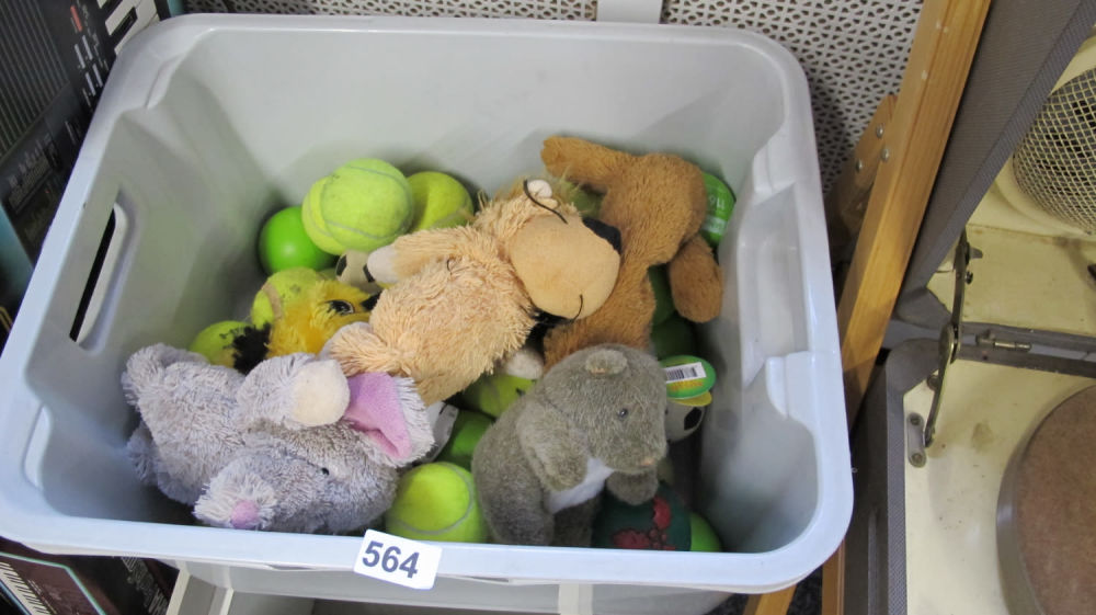 Lot 564: Misc toys fluffy tennis balls etc