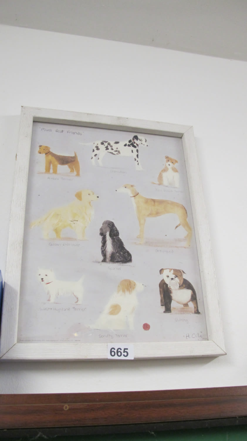 Lot 665: Wall print in frame various dog breeds