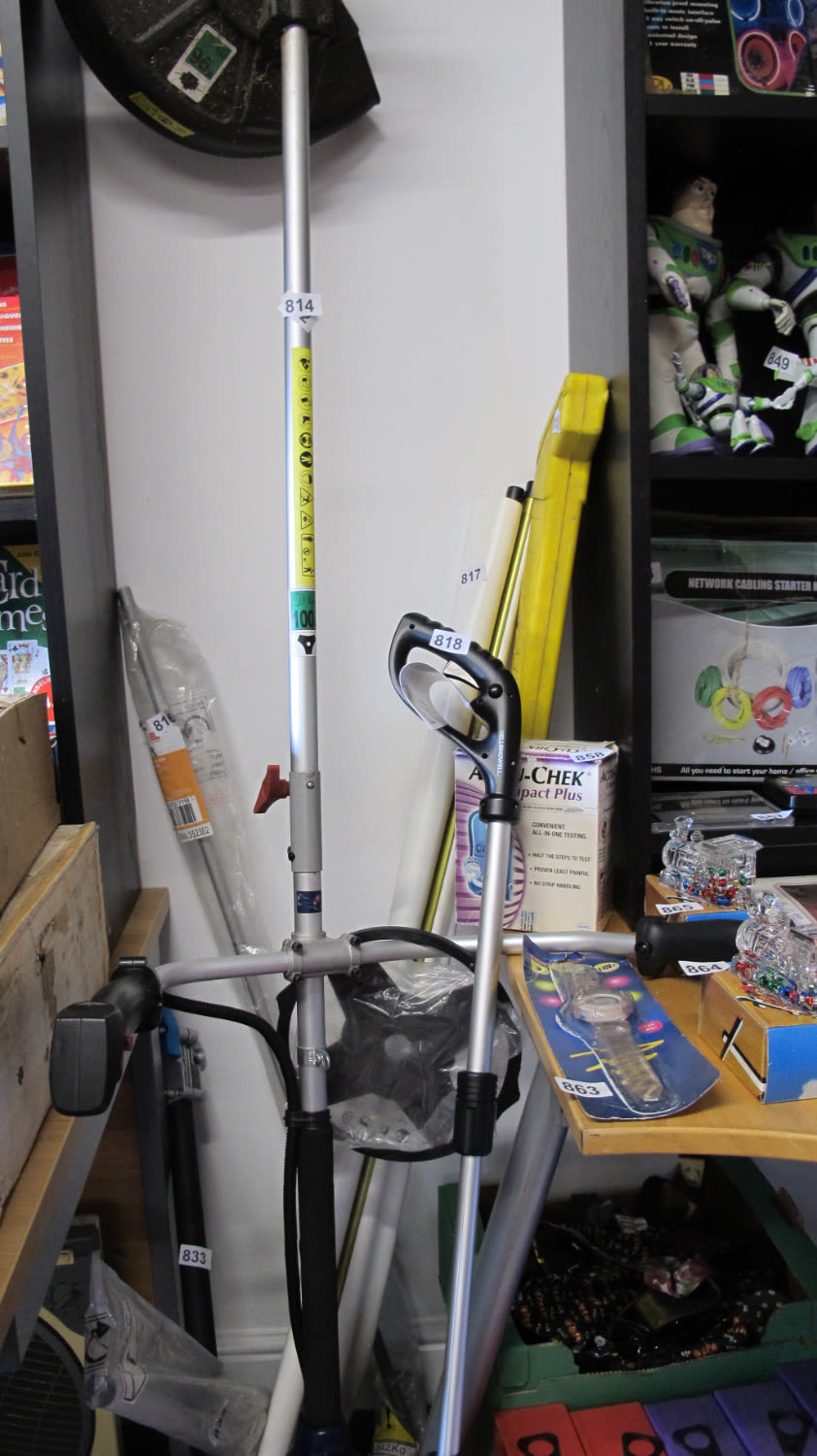 Lot 814: Large double battery operated strimmer AF: needs charger