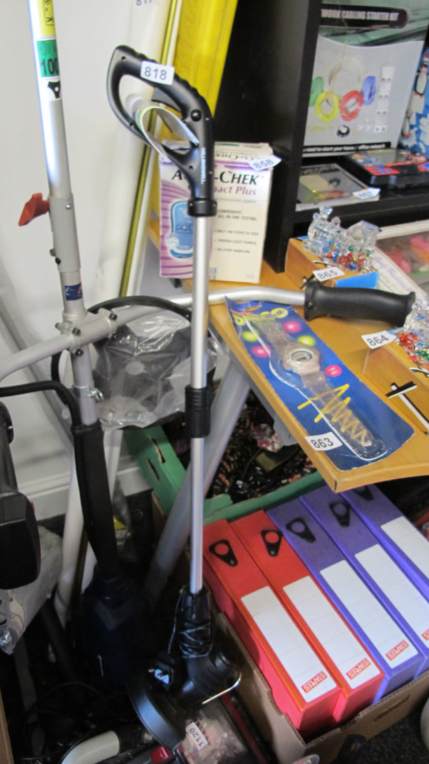 Lot 818: Strimmer