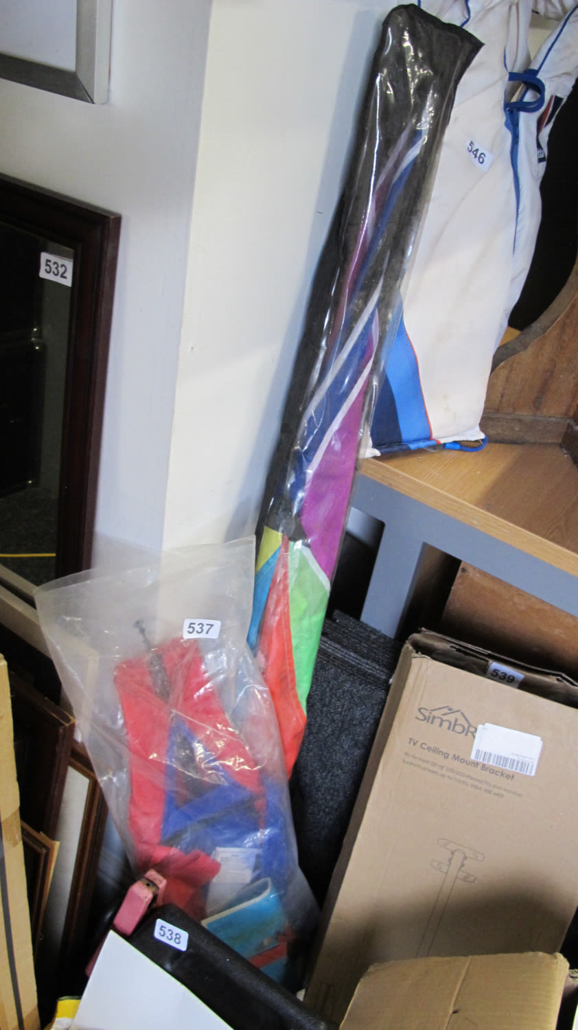 Lot 537: Kites