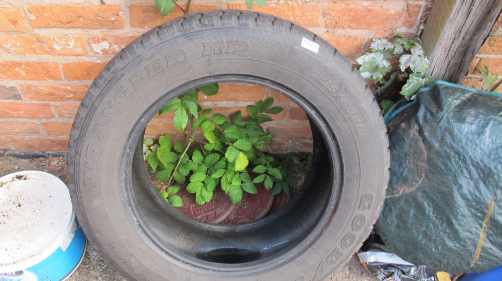 Lot 1321: spare tyre