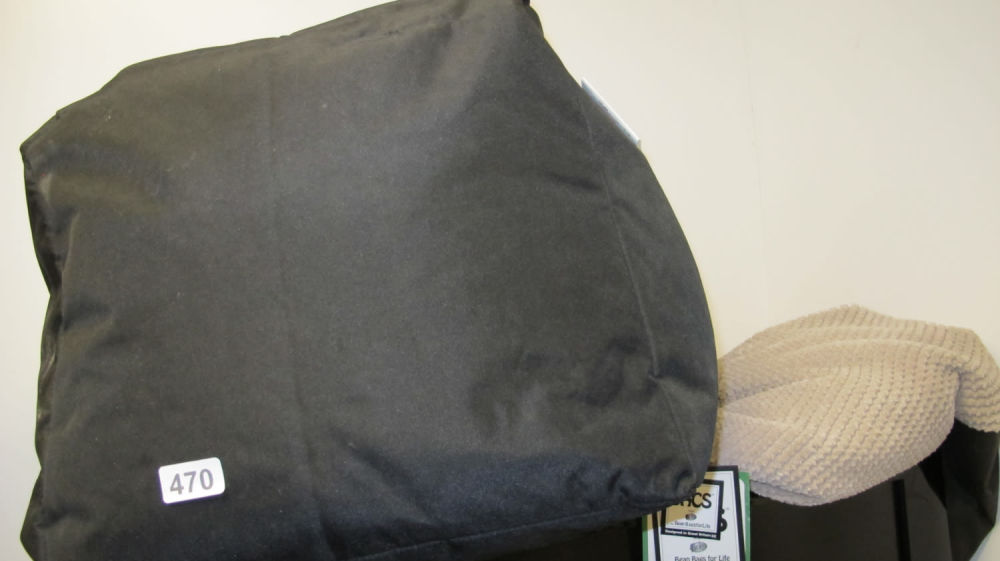 Lot 470: Bean bag