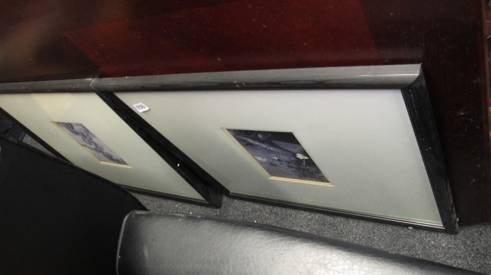 Lot 856: framed and glazed pictures